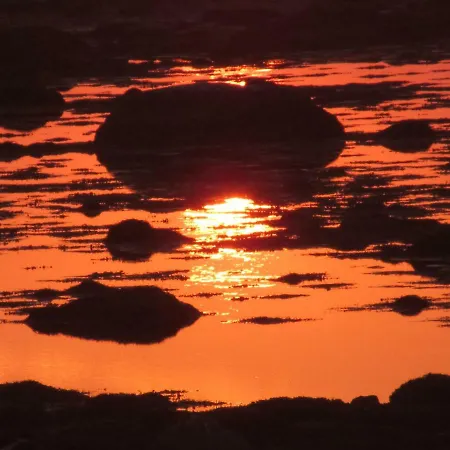 Lofoten - Hoynes Vakantiehuis *