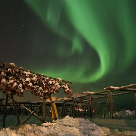 Lofoten - Hoynes Bostad