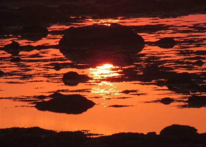 Lofoten - Hoynes Tatil Evi *