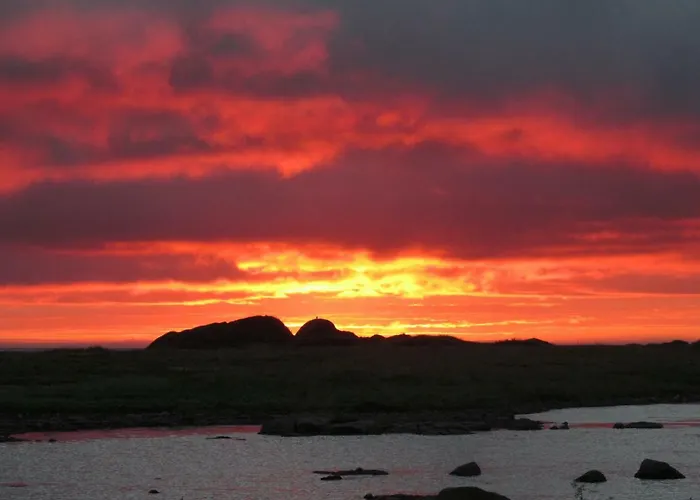 Tatil Evi Lofoten - Hoynes