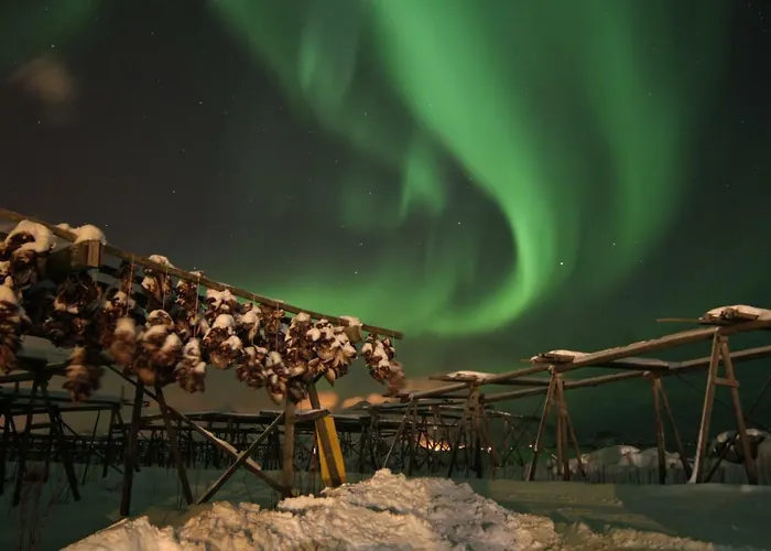 Lofoten - Hoynes Bostad