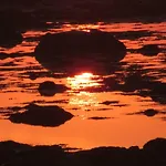 Lofoten - Hoynes بيت للعطل *